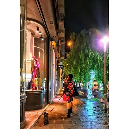 小崔艾诺酒店 尼斯
